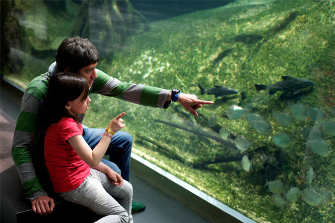 CaixaForum y CosmoCaixa, listos para la Vuelta al Cole