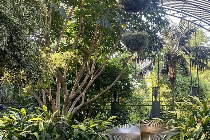El Jardín Botánico de Valencia, un plan familiar todo el año