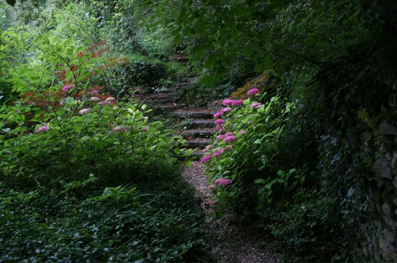 El Jardín Botánico Santa Catalina ya está abierto al público