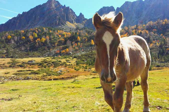 Los "Mil y un colores de otoño" de Cerdanya Ecoresort
