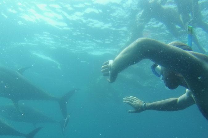 ¿Pensando en la Navidad? Pide a los Reyes un Tuna Tour