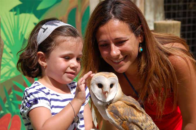 Un hotel y un parque zoológico 2.0., nuevos avalados con el STF