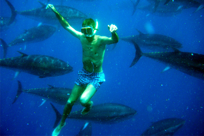 20% de descuento en Tuna Tour para nadar entre atunes
